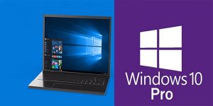 windows 10 professional iso download